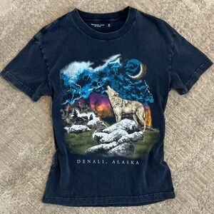 Abercrombie & Fitch Denali Alaska Wolf Graphic Tee